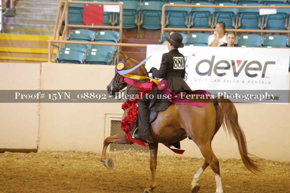 Proof 15YN_08892