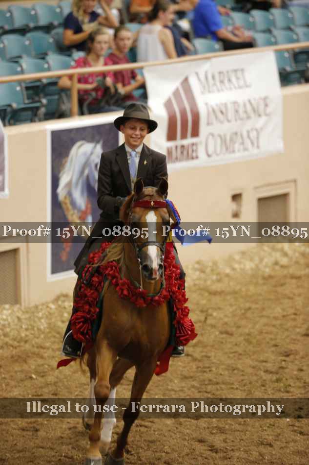 Proof 15YN_08895