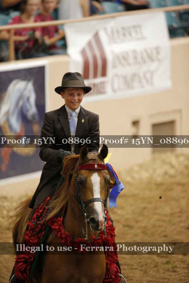 Proof 15YN_08896