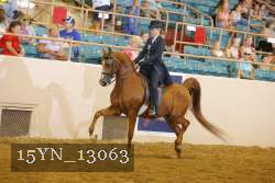 15YN_13063 proof
