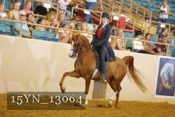 15YN_13064 proof