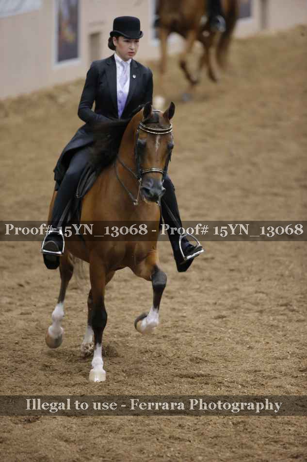 Proof 15YN_13068