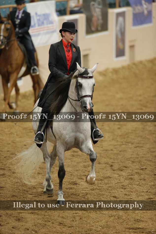 Proof 15YN_13069
