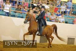 15YN_13071 proof