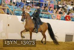 15YN_13073 proof