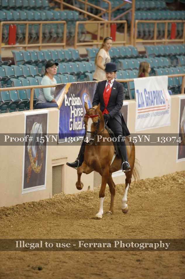 Proof 15YN_13074