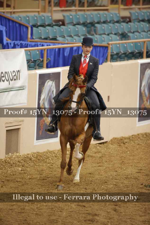 Proof 15YN_13075