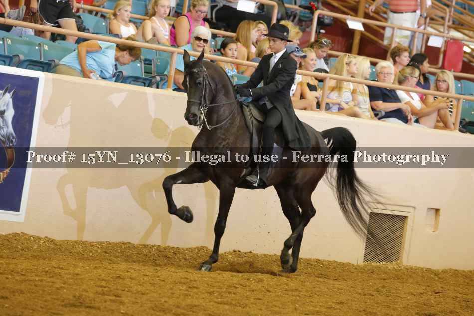 Proof 15YN_13076