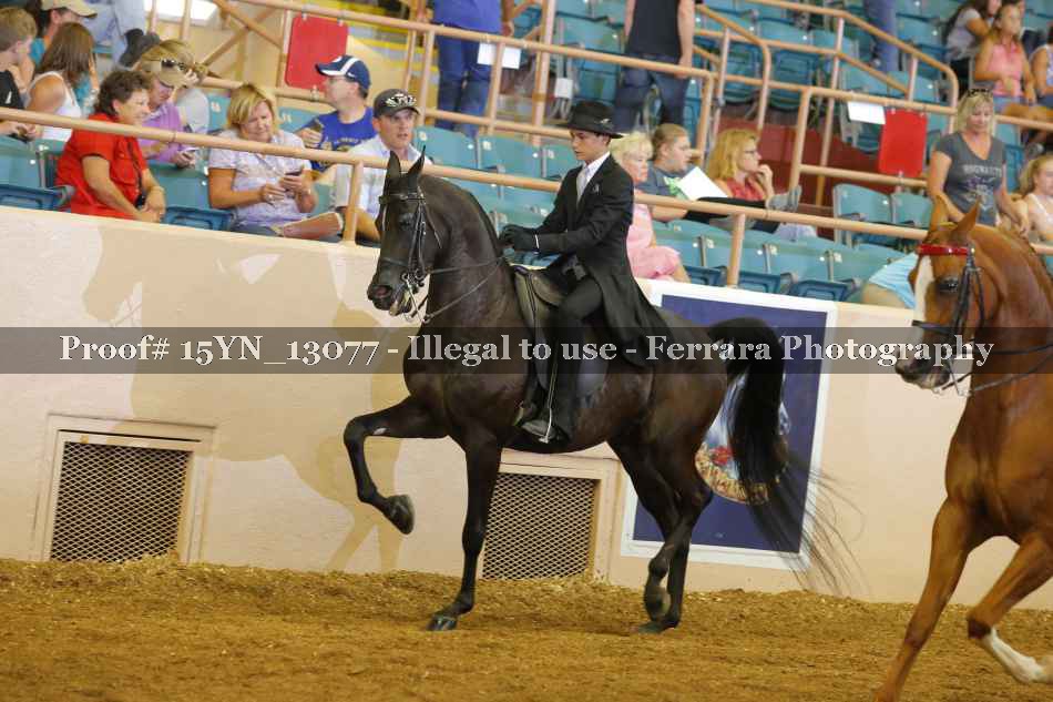 Proof 15YN_13077