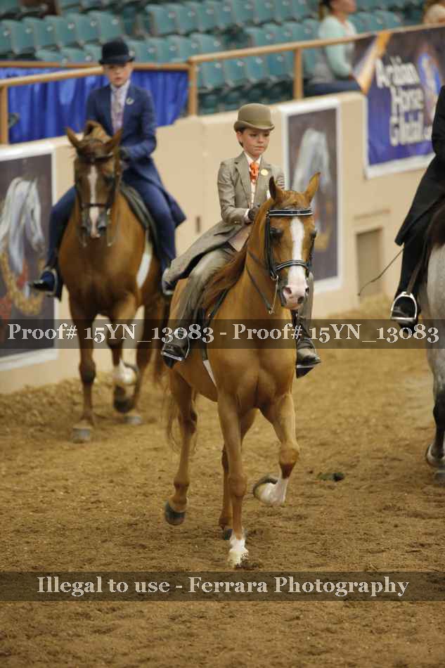 Proof 15YN_13083