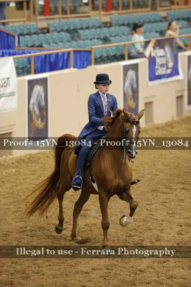 Proof 15YN_13084