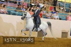 15YN_13085 proof