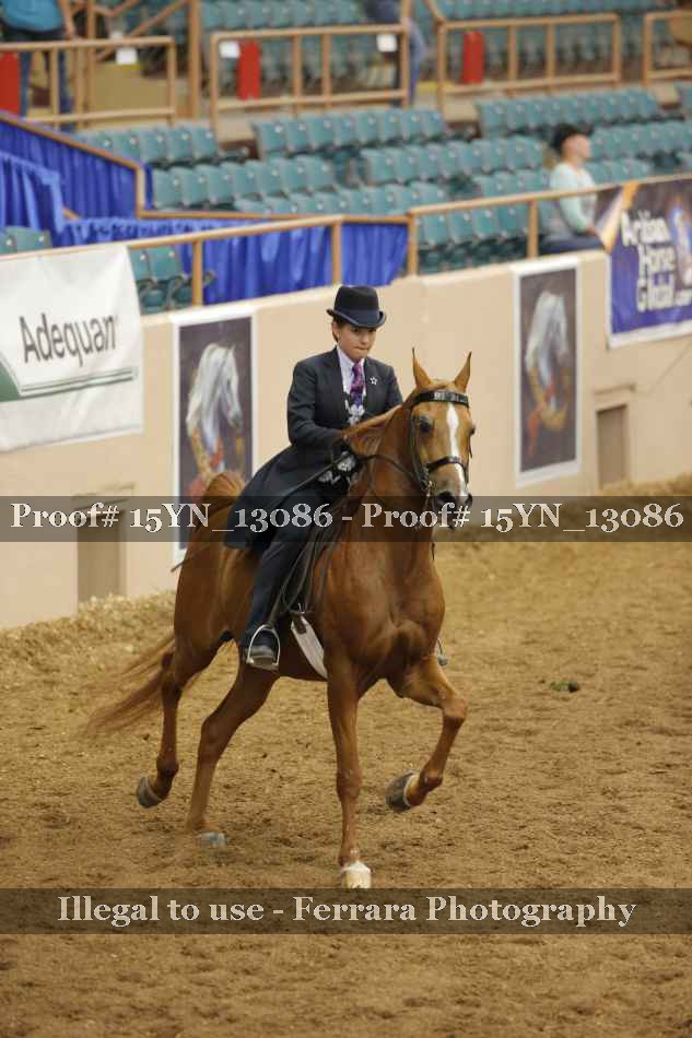 Proof 15YN_13086