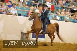 15YN_13087 proof