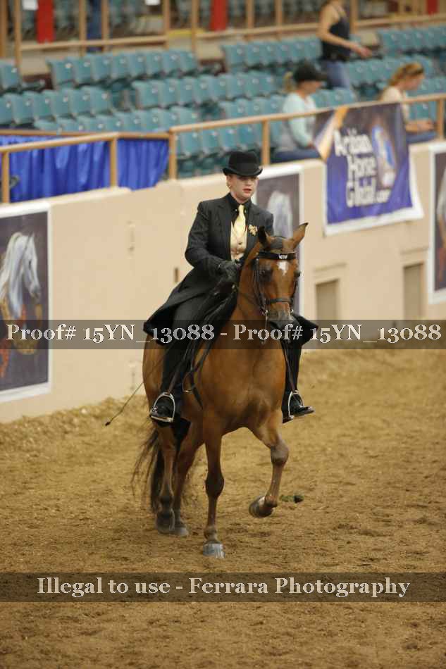 Proof 15YN_13088