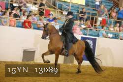 15YN_13089 proof