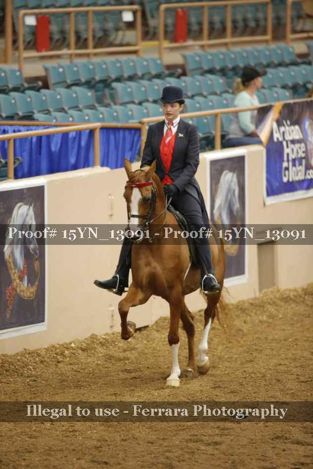 Proof 15YN_13091