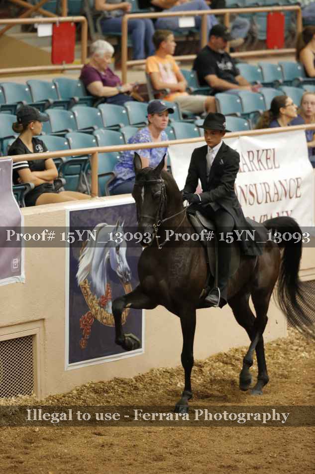 Proof 15YN_13093