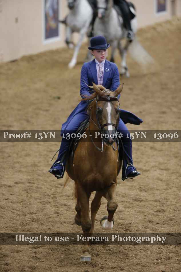 Proof 15YN_13096