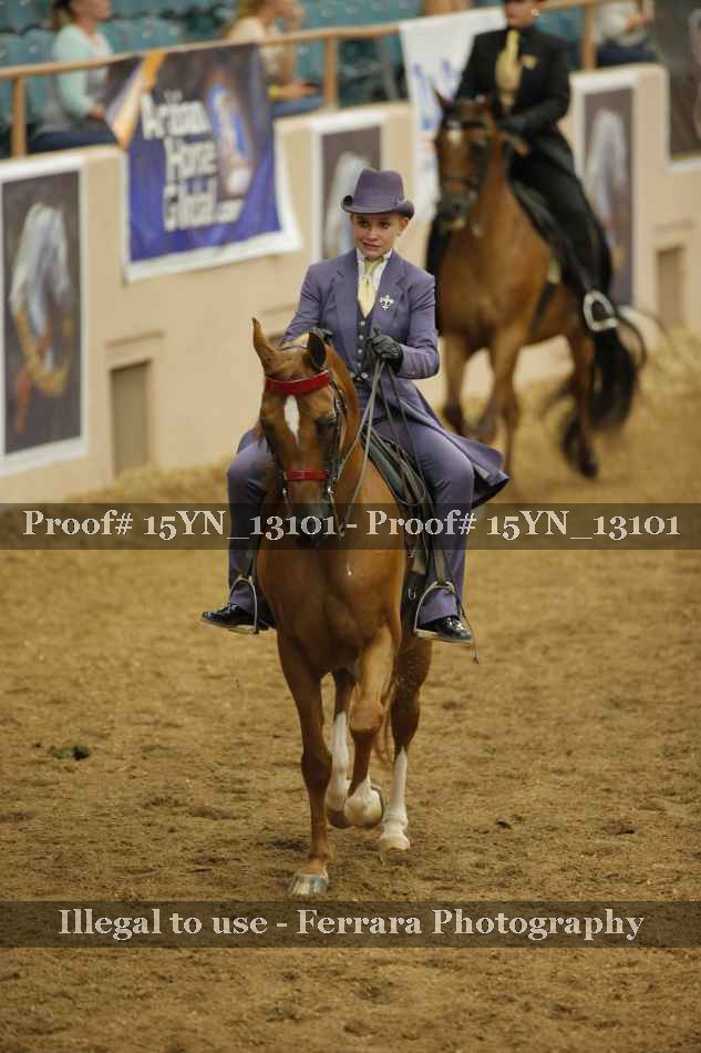 Proof 15YN_13101