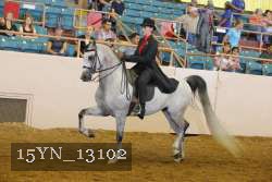 15YN_13102 proof