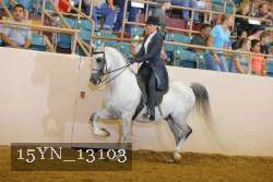 15YN_13103 proof