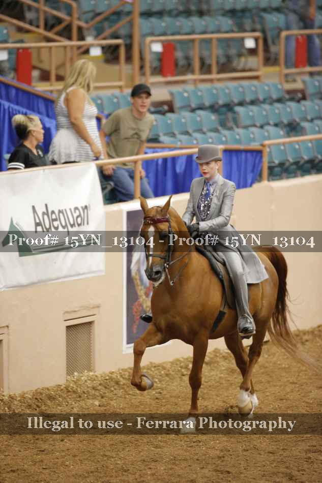 Proof 15YN_13104