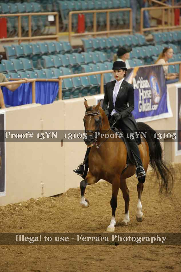 Proof 15YN_13105