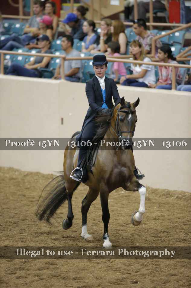 Proof 15YN_13106