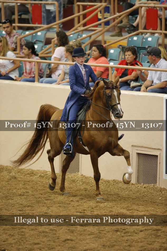 Proof 15YN_13107