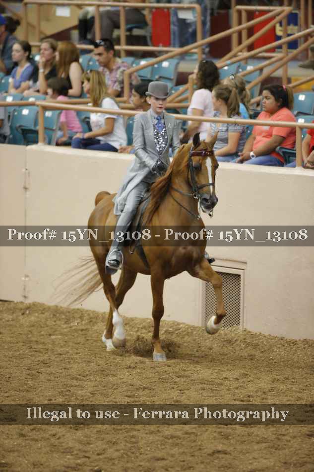 Proof 15YN_13108