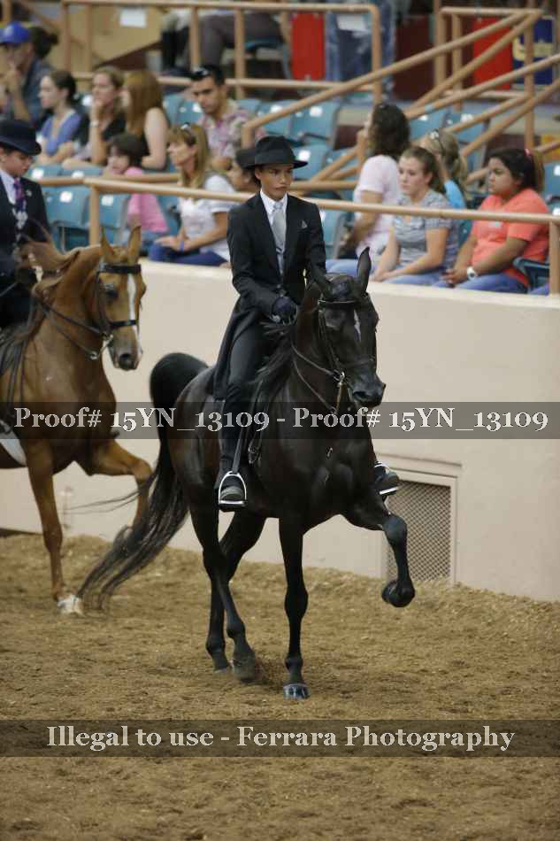 Proof 15YN_13109