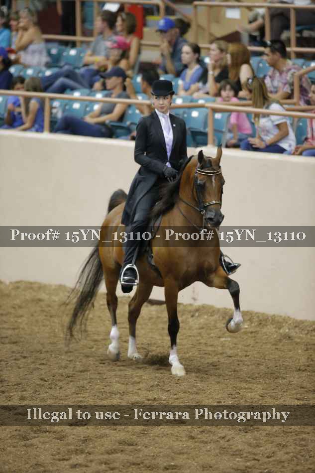 Proof 15YN_13110