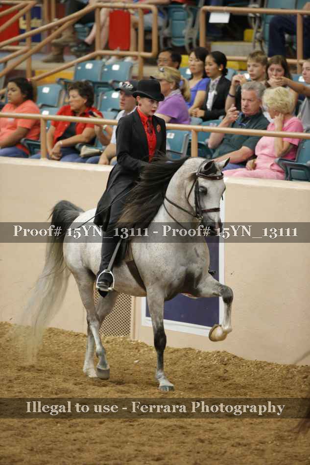 Proof 15YN_13111