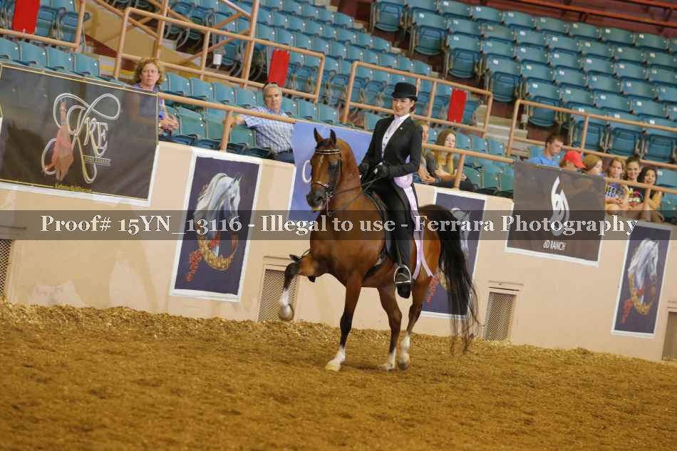 Proof 15YN_13116