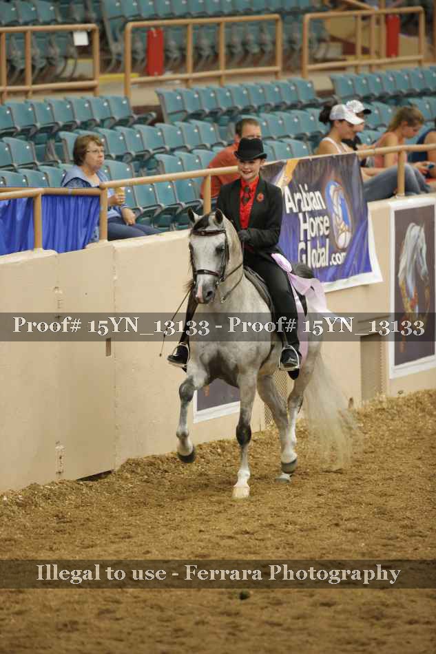 Proof 15YN_13133