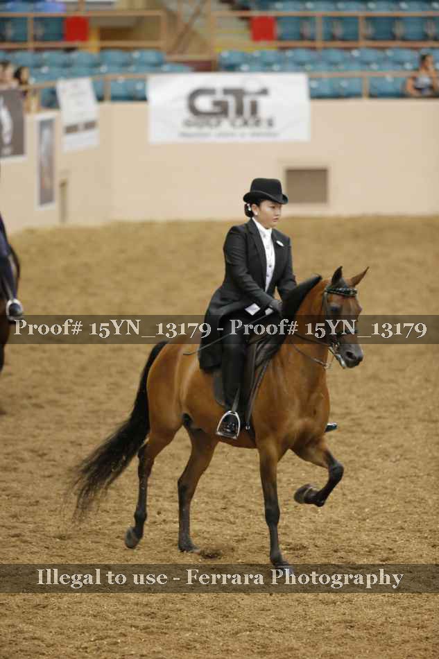Proof 15YN_13179