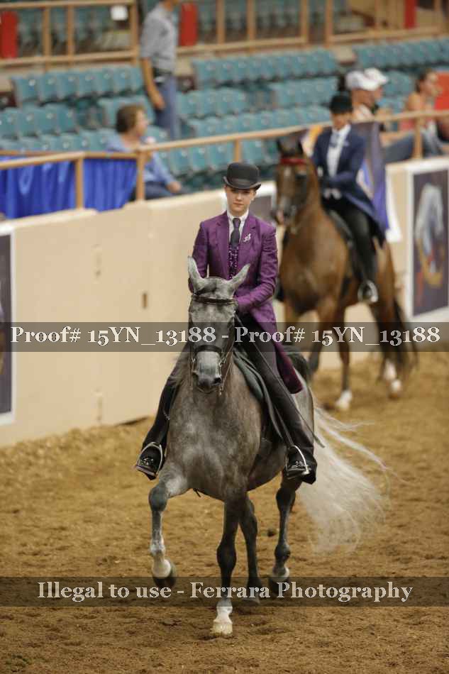 Proof 15YN_13188