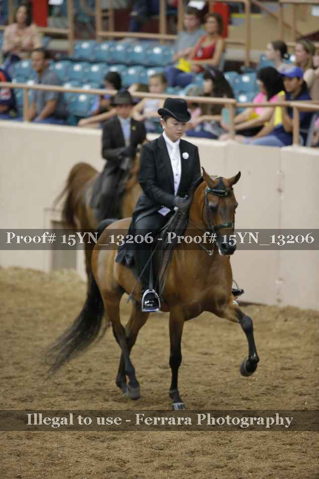 Proof 15YN_13206