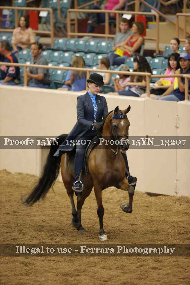 Proof 15YN_13207