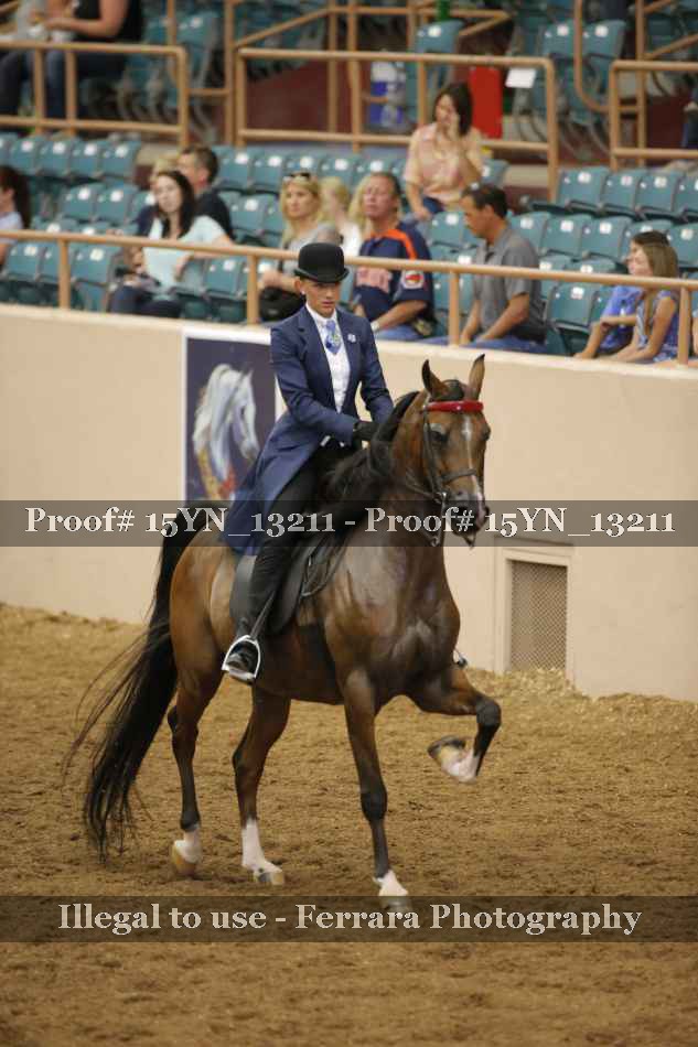 Proof 15YN_13211