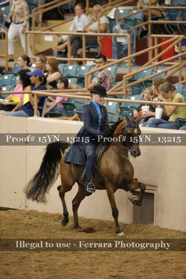 Proof 15YN_13215