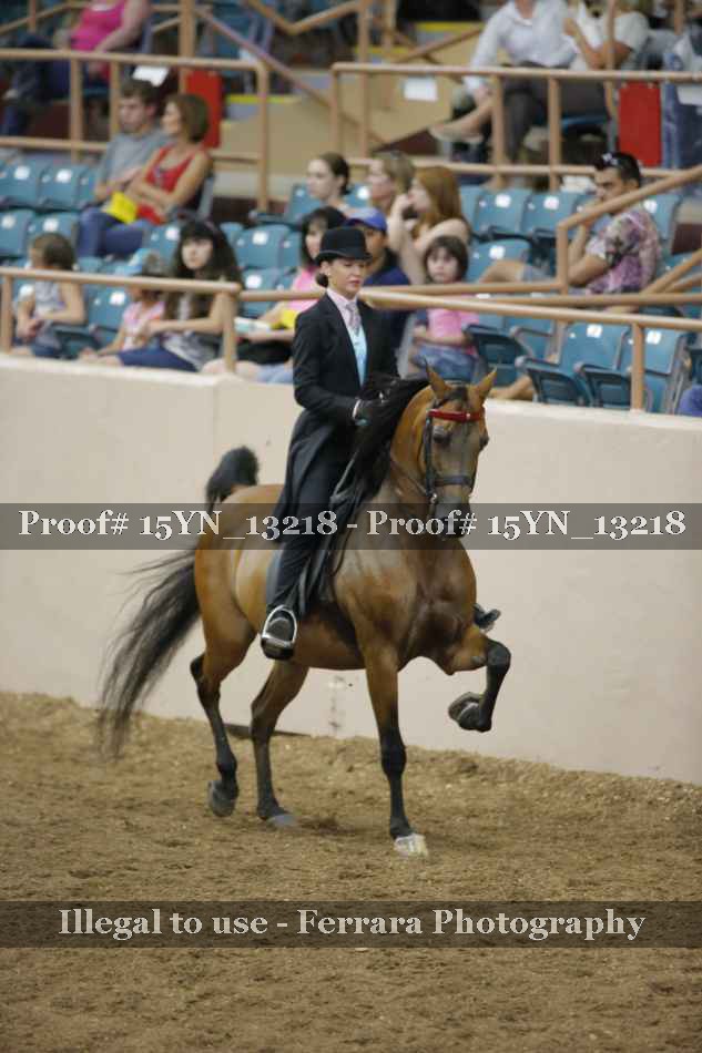 Proof 15YN_13218