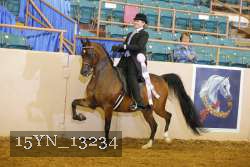 15YN_13234 proof