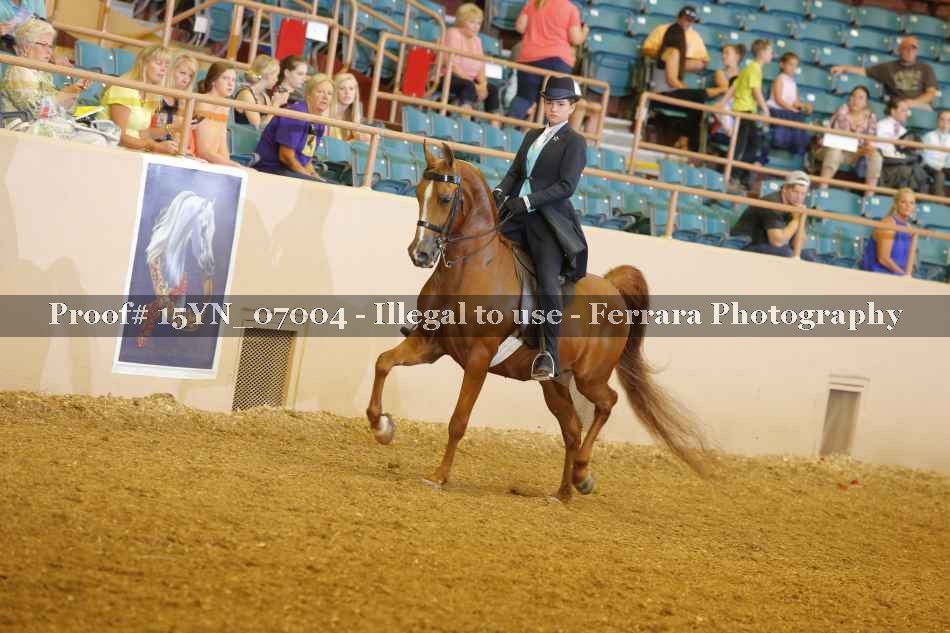 Proof 15YN_07004