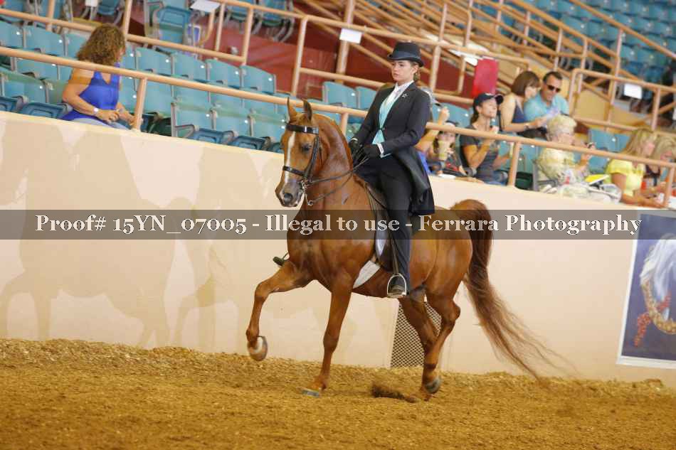Proof 15YN_07005
