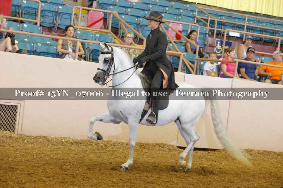 Proof 15YN_07006