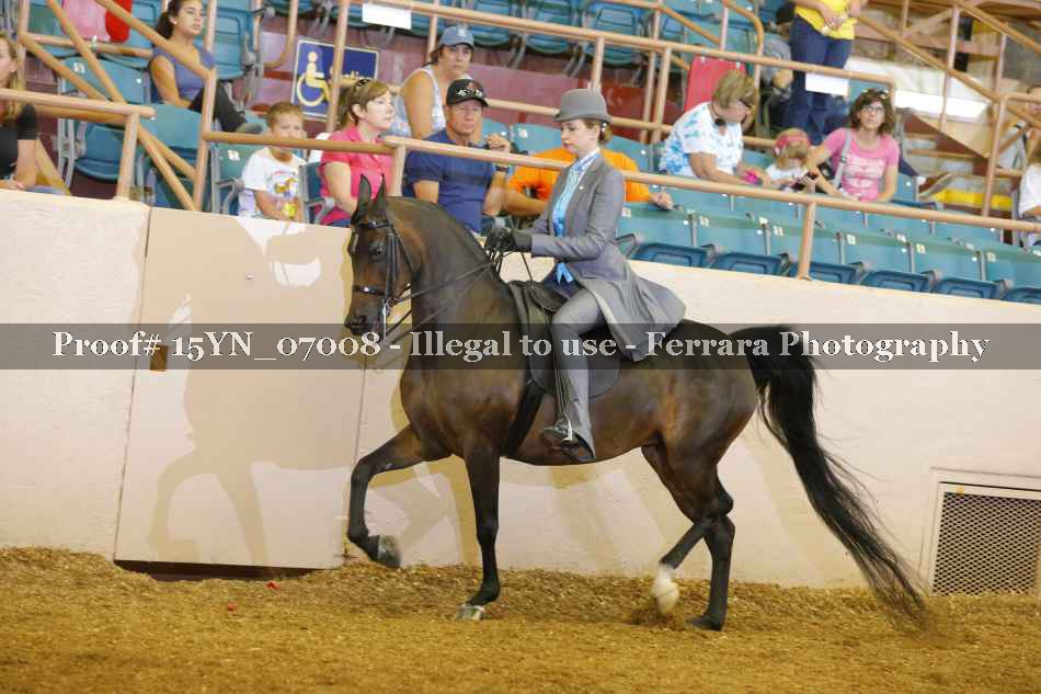 Proof 15YN_07008