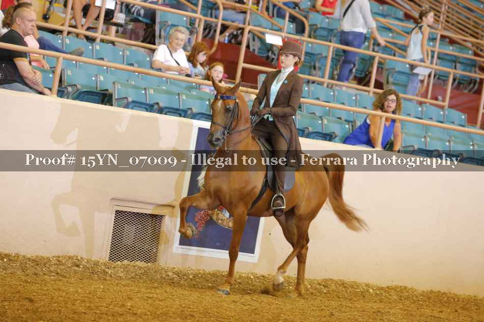 Proof 15YN_07009