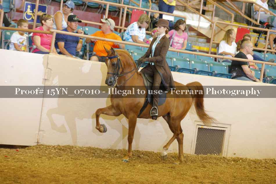 Proof 15YN_07010